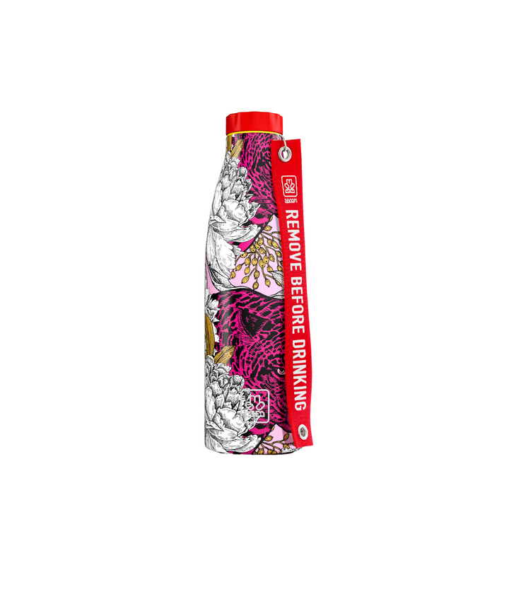 Borraccia termica BBoom Wild da 520 ml con grafica Pantera