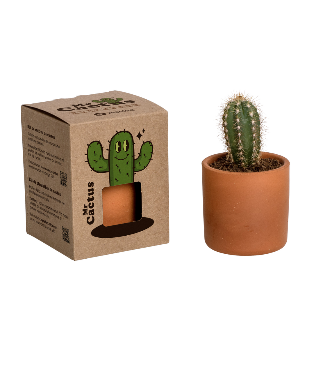 Scatola biodegradabile marrone con cactus verde sorridente disegnato. Vaso in terracotta con pianta cactus. Immagine su sfondo bianco.