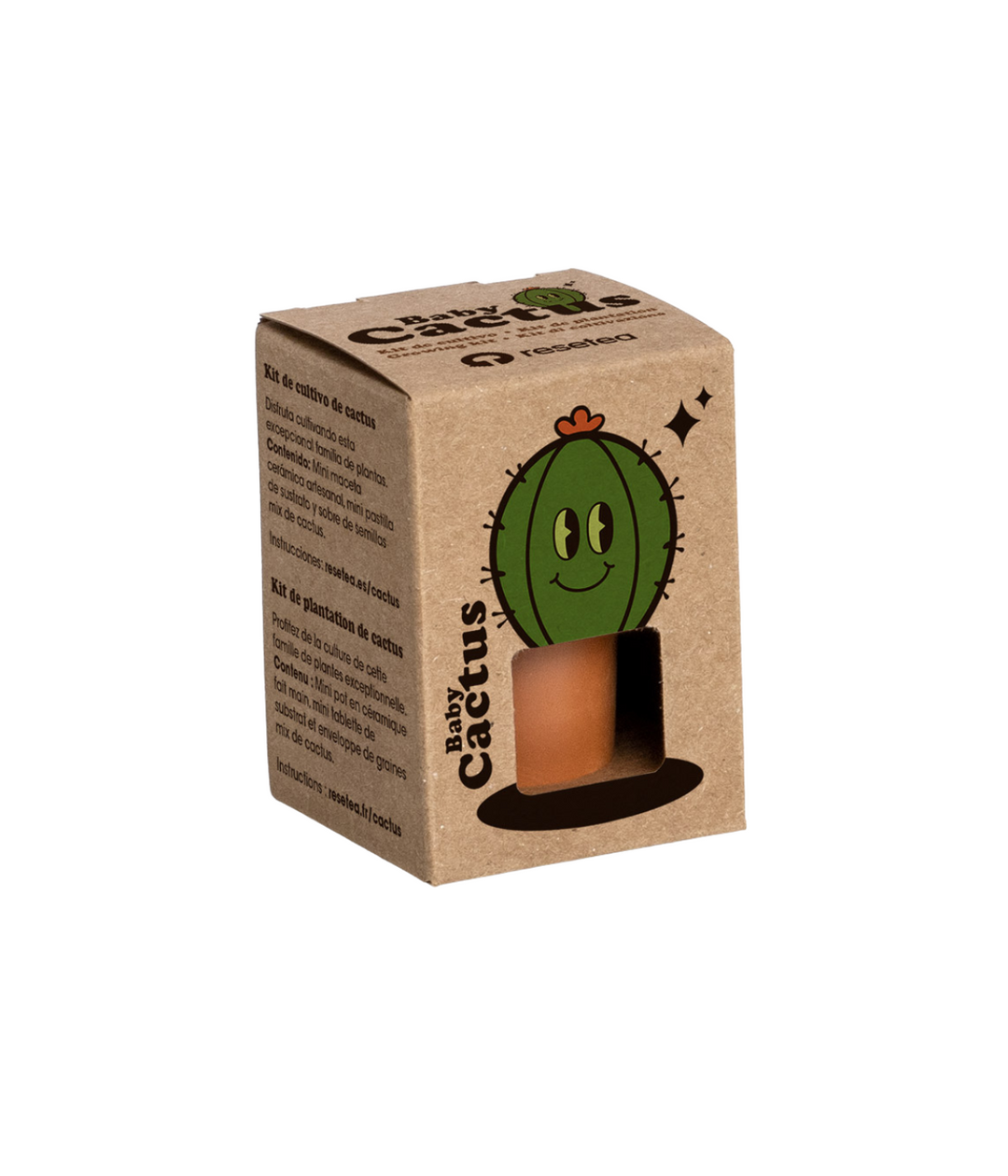 Scatola marrone biodegradabile con scritta Baby Cactus e disegno verde cactus sorridente. Immagine su sfondo bianco.