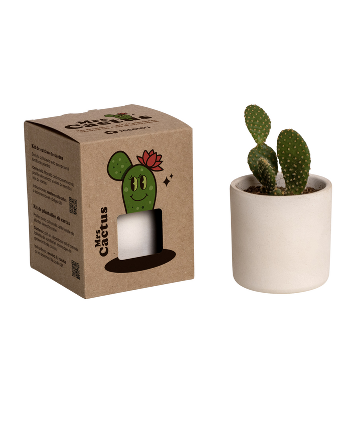 Scatola in materiale biodegradabile marrone con scritta Mrs. Cactus e disegno  verde cactus sorridente. Vaso di terracotta bianco con pianta di cactus. Immagine con sfondo bianco. 