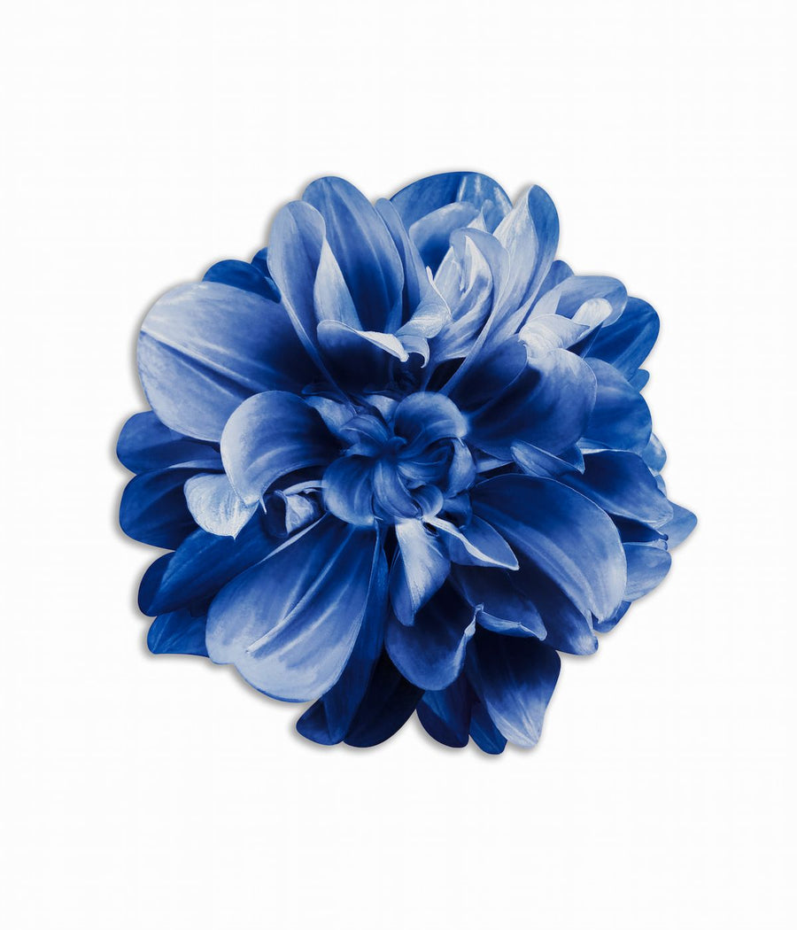 Tovaglietta americana rotonda con un fiore blu scuro, dettagliato, che copre quasi interamente la superficie