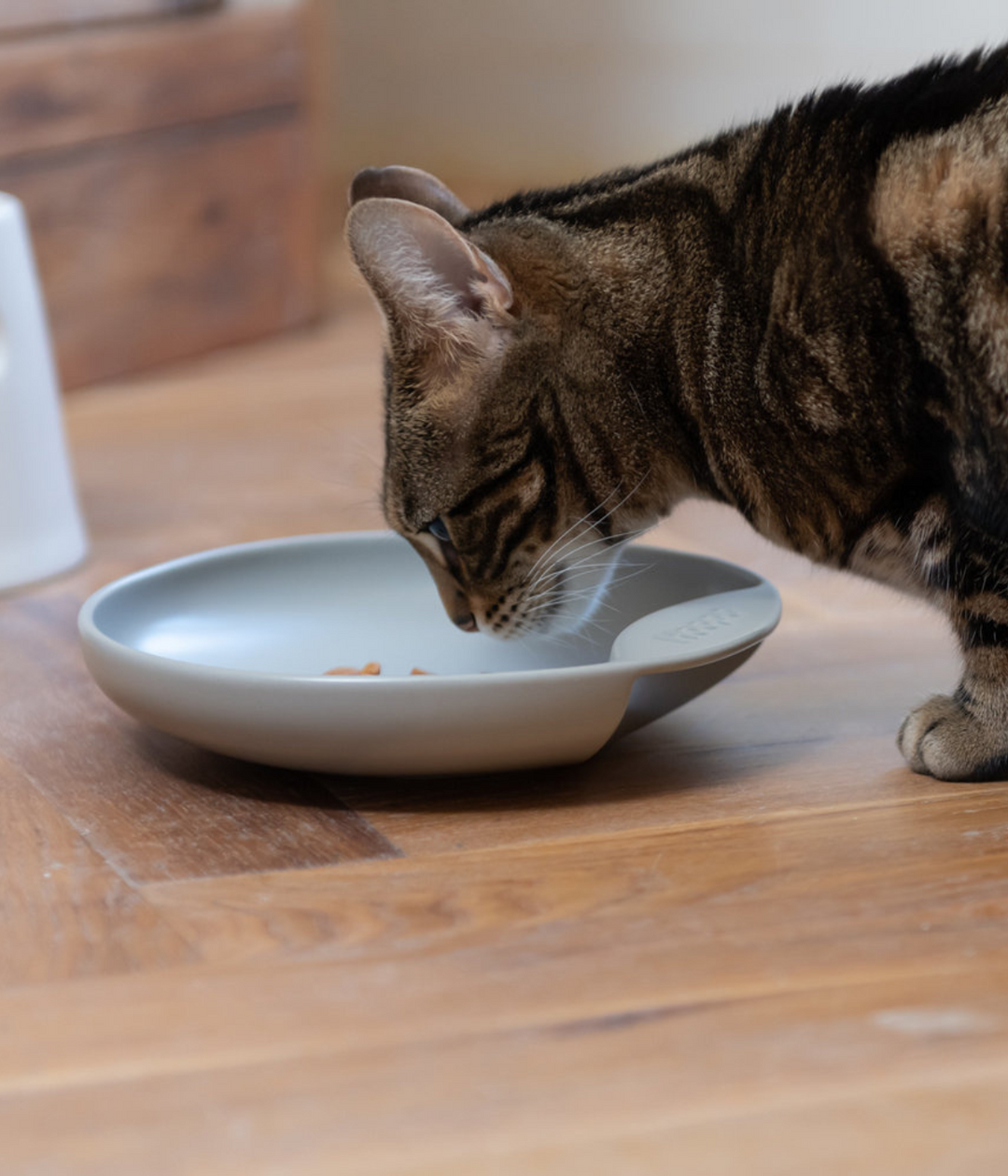 Ciotola grigia a forma di piatto con gatto tigrato che mangia. Sfondo pavimento marrone in legno.