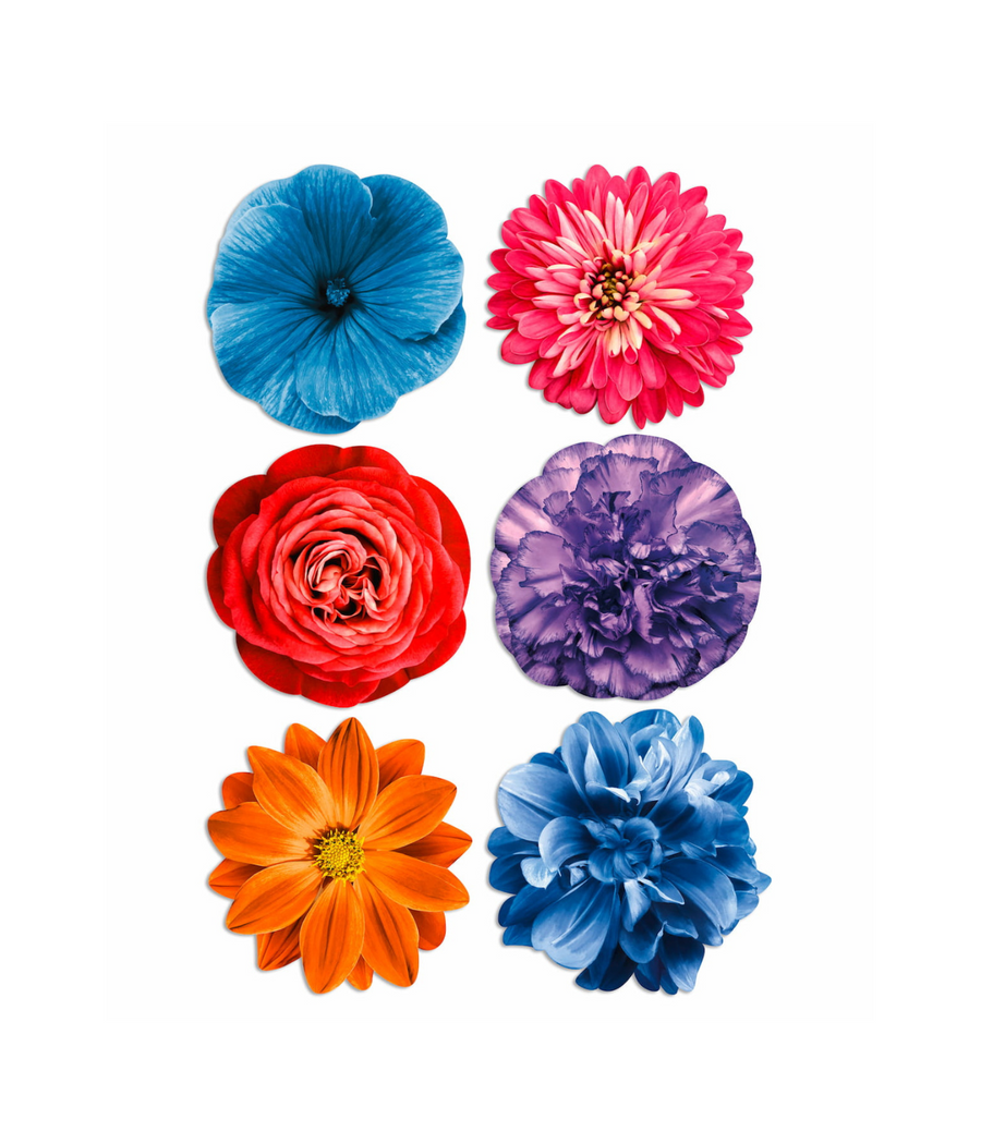Collezione di tovagliette americane rotonde con disegni vivaci di diversi fiori, tra cui una rosa rossa, una dalia viola, un girasole, e altri, su sfondi neutri.